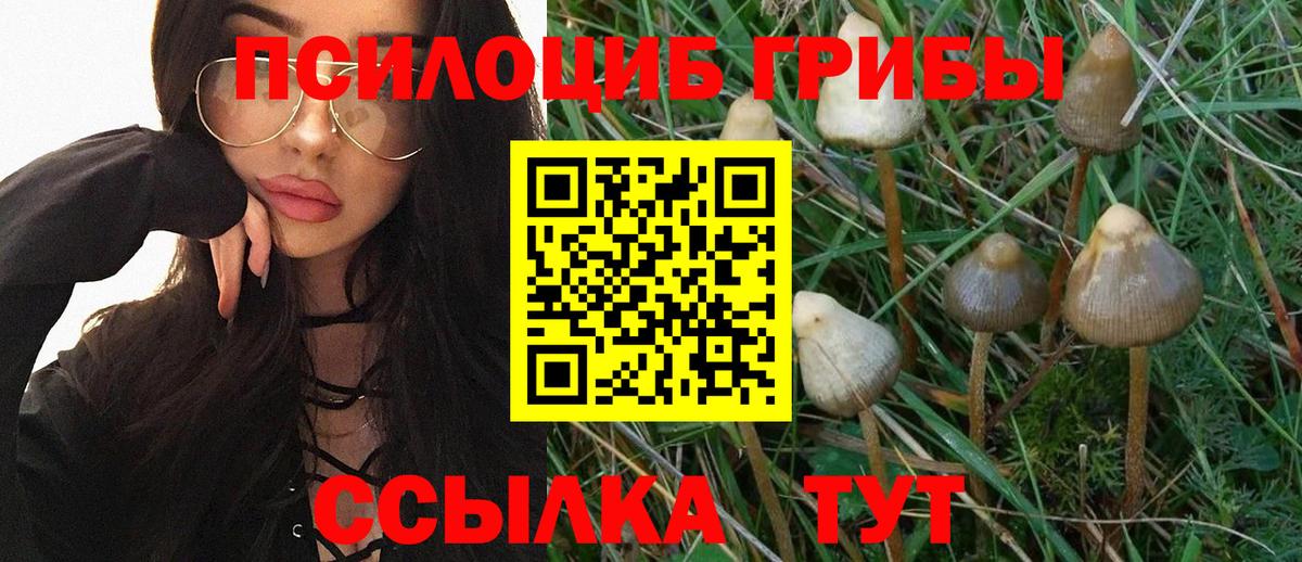 Псилоцибиновые грибы ЛСД  Вход с VPN  Сызрань 